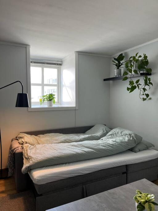 Cozy Ground Floor Apartment Tromsø Eksteriør bilde
