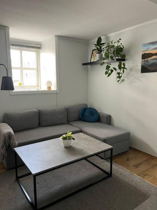 Cozy Ground Floor Apartment Tromsø Eksteriør bilde