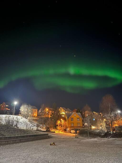 Cozy Ground Floor Apartment Tromsø Eksteriør bilde