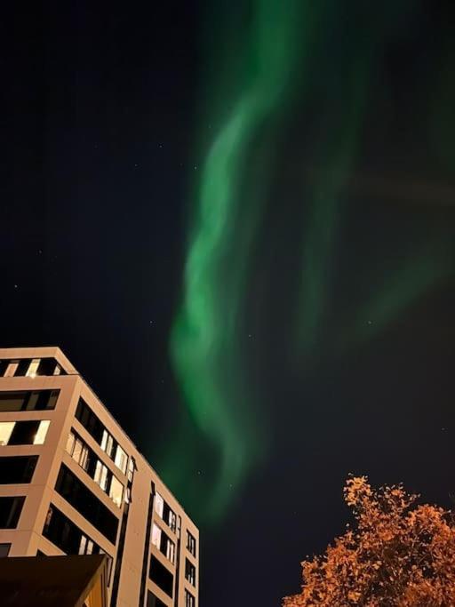 Cozy Ground Floor Apartment Tromsø Eksteriør bilde